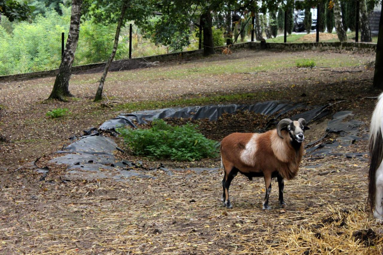 Отель Park Lesny 'U Kaczyny' Rogow Экстерьер фото